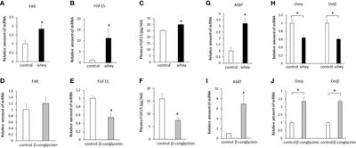 Ingestion of whey protein and β-conglycinin exerts opposite effects on intestinal FGF15 and serotonin secretion in mice